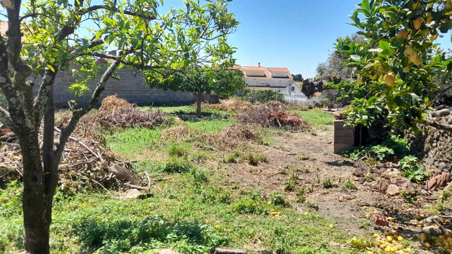 Moradia T4 para Venda em Medelim Foto 10