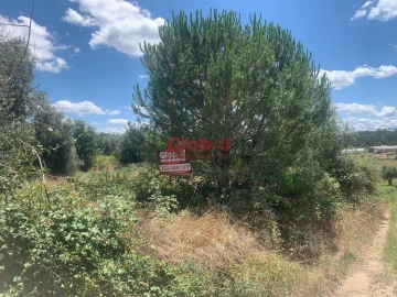 Terreno para Venda em Canas de Senhorim