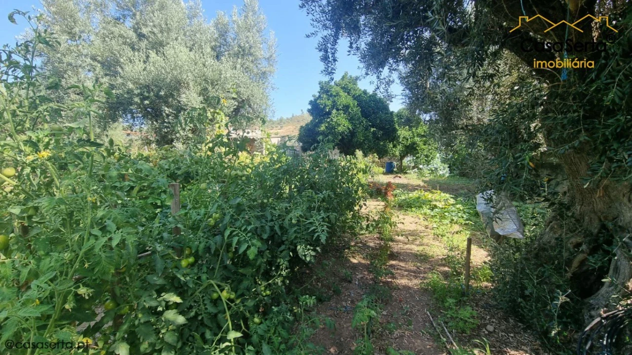 Moradia T3 para Venda em Vila Velha de Rodão Foto 14