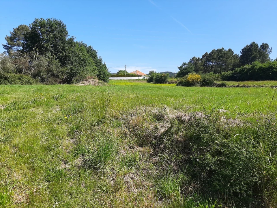 Terreno para Venda em Rubiães Foto 2