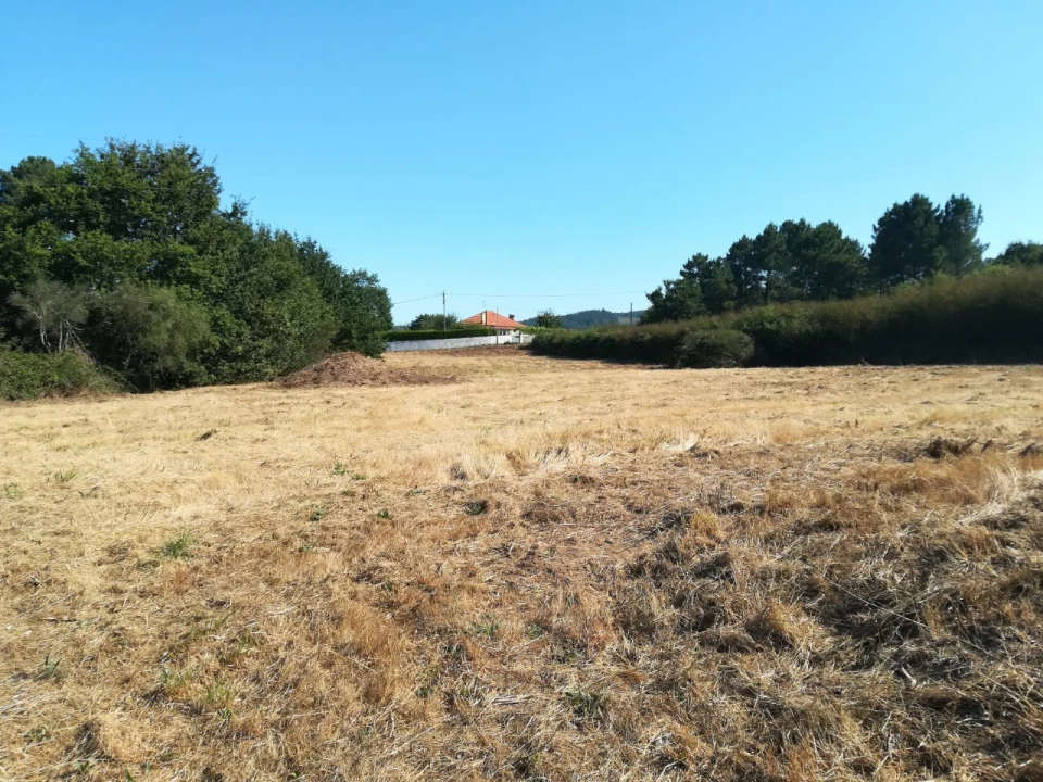 Terreno para Venda em Rubiães Foto 5