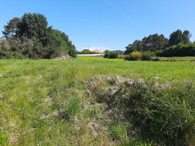 Terreno para Venda em Rubiães Foto 2