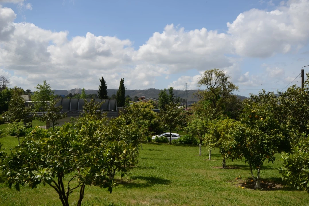 Moradia T3 para Venda em Campo e Sobrado Foto 10