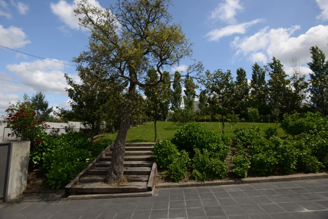 Moradia T3 para Venda em Campo e Sobrado Foto 19