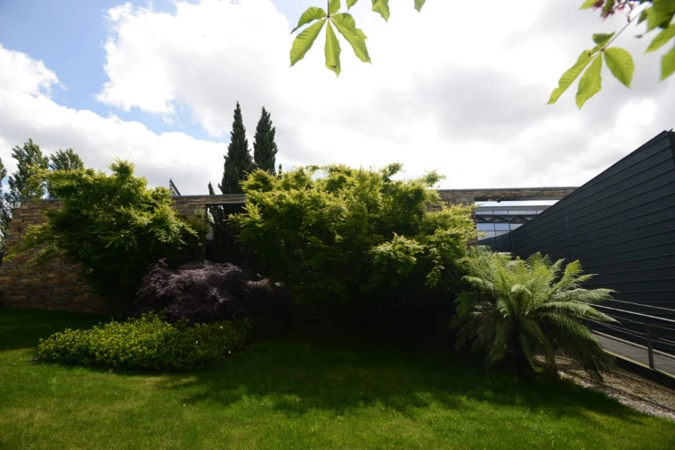 Moradia T3 para Venda em Campo e Sobrado Foto 18