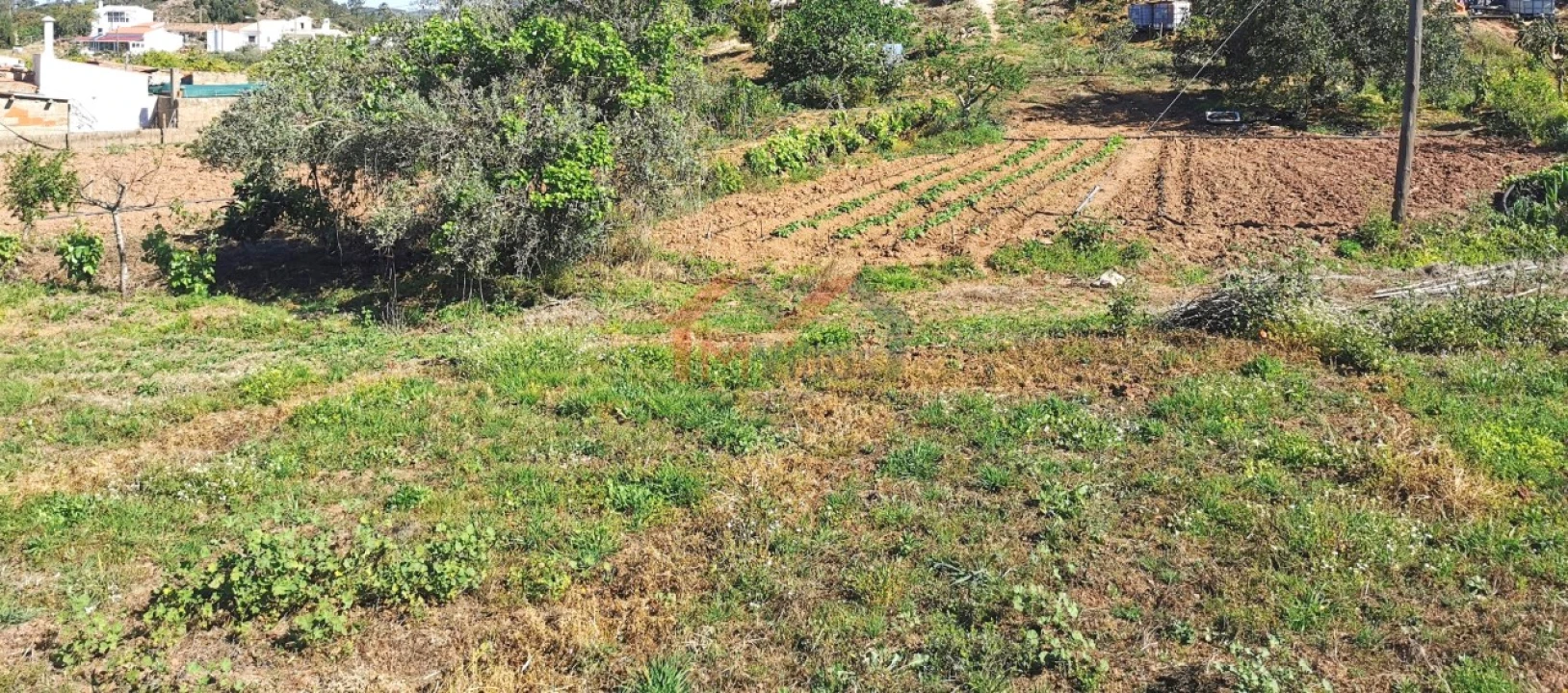 Moradia T2 para Venda em Salir Foto 26
