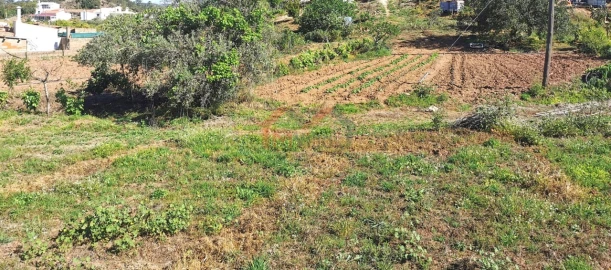Moradia T2 para Venda em Salir