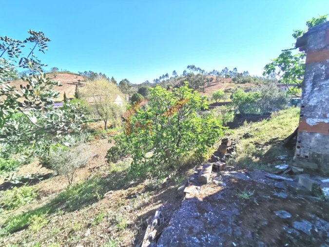 Moradia T2 para Venda em Salir Foto 24