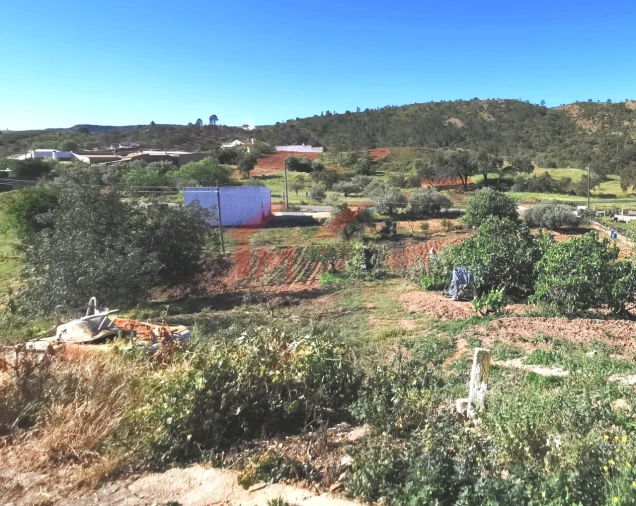 Moradia T2 para Venda em Salir Foto 25