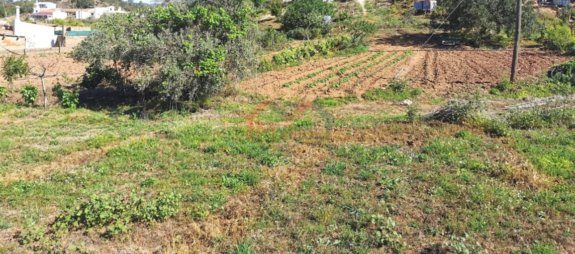 Moradia T2 para Venda em Salir Foto 26