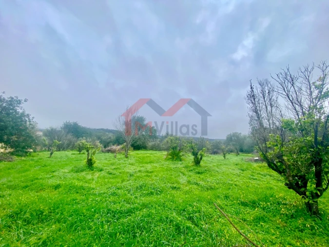Terreno para Venda em Loule (São Clemente) Foto 3