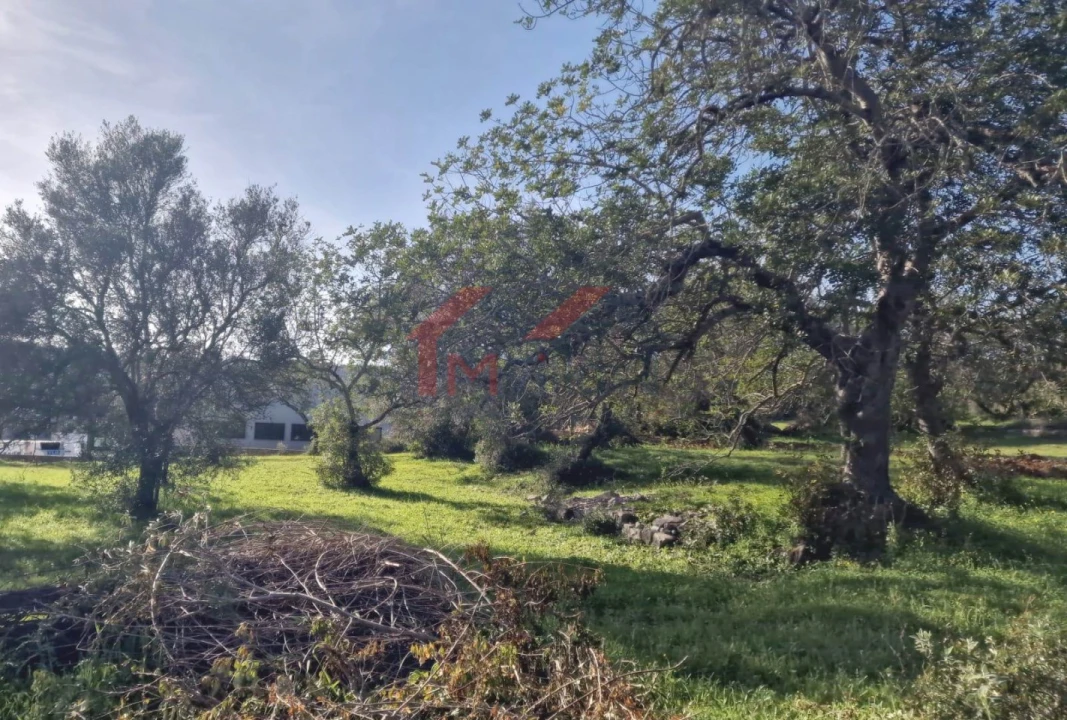 Terreno para Venda em São Brás de Alportel Foto 2