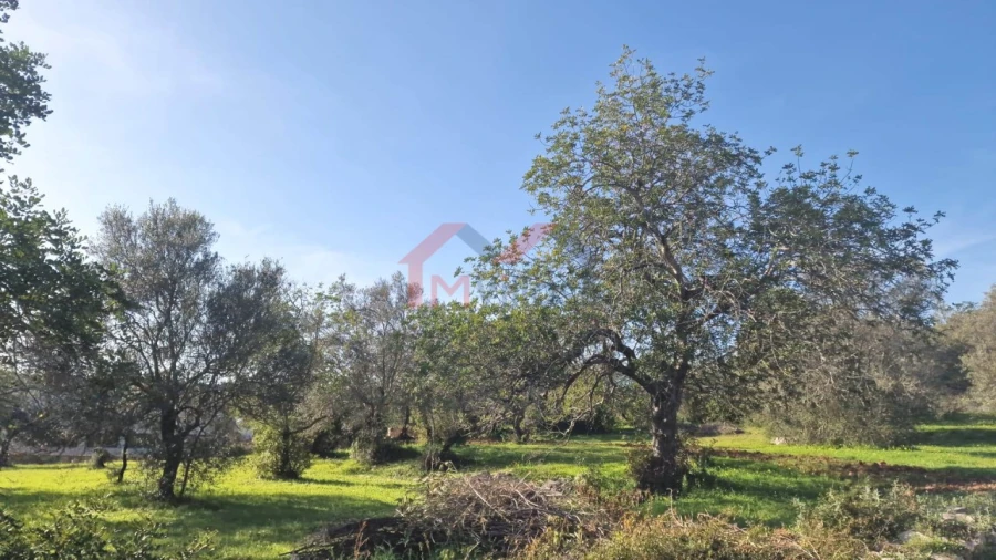 Terreno para Venda em São Brás de Alportel Foto 1