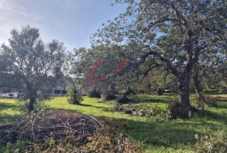 Terreno para Venda em São Brás de Alportel Foto 2
