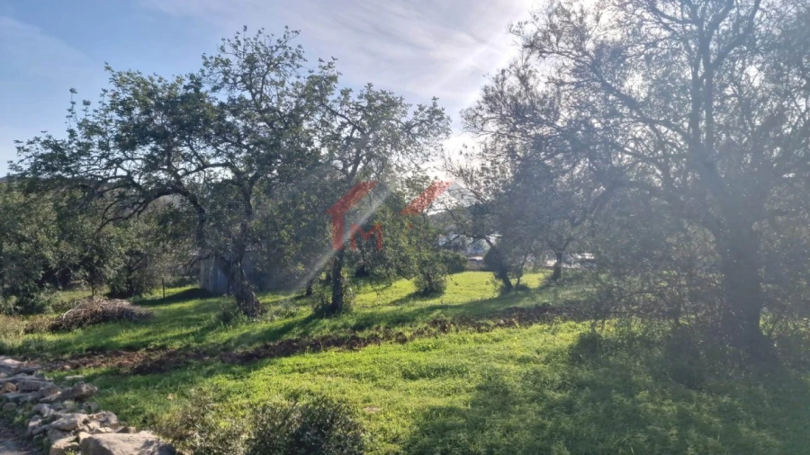 Terreno para Venda em São Brás de Alportel Foto 4