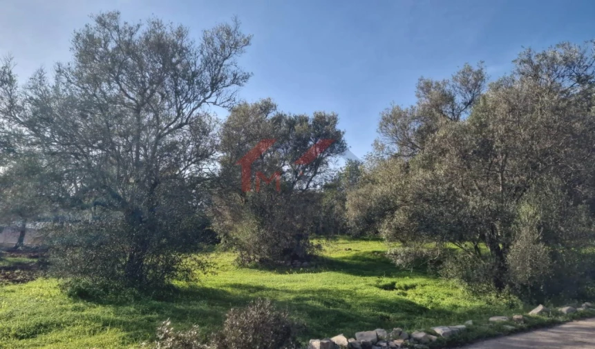 Terreno para Venda em São Brás de Alportel Foto 5