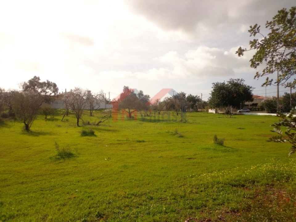 Terreno para Venda em Almancil Foto 1