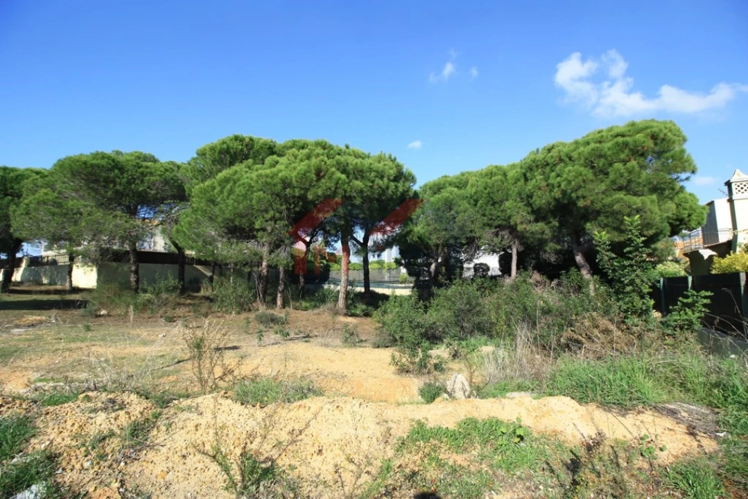 Terreno para Venda em Almancil Foto 1