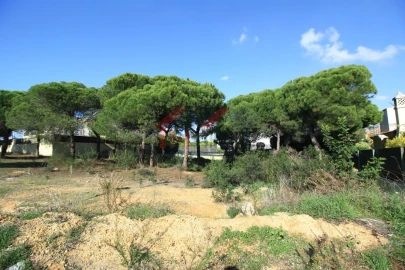 Terreno para Venda em Almancil
