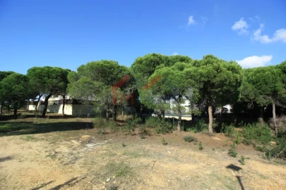 Terreno para Venda em Almancil