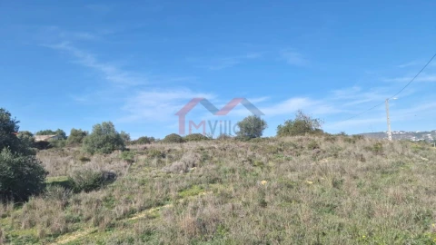 Terreno para Venda em Almancil
