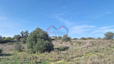 Terreno para Venda em Almancil
