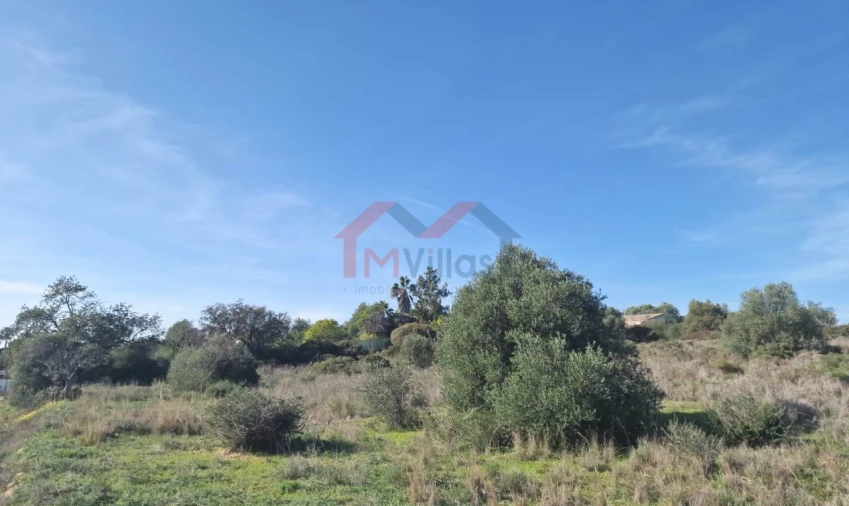 Terreno para Venda em Almancil Foto 4