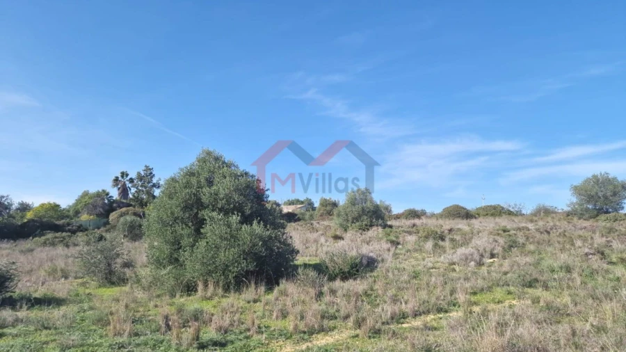Terreno para Venda em Almancil Foto 6
