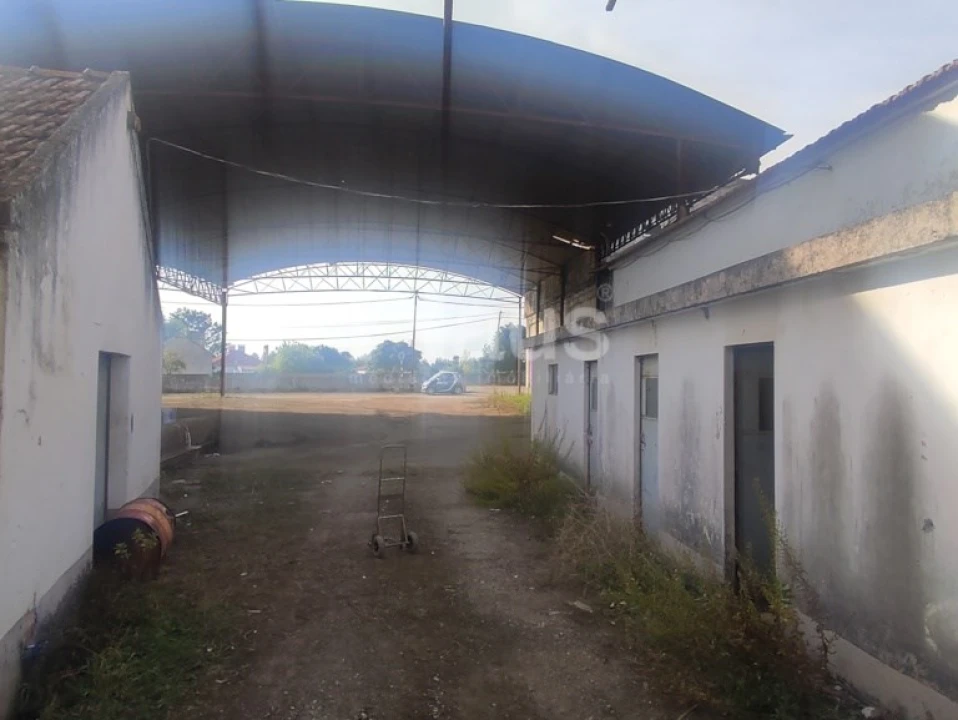 Armazém para Venda em Pegões Foto 14