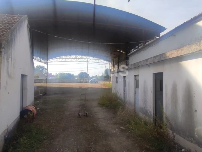 Armazém para Venda em Pegões Foto 14
