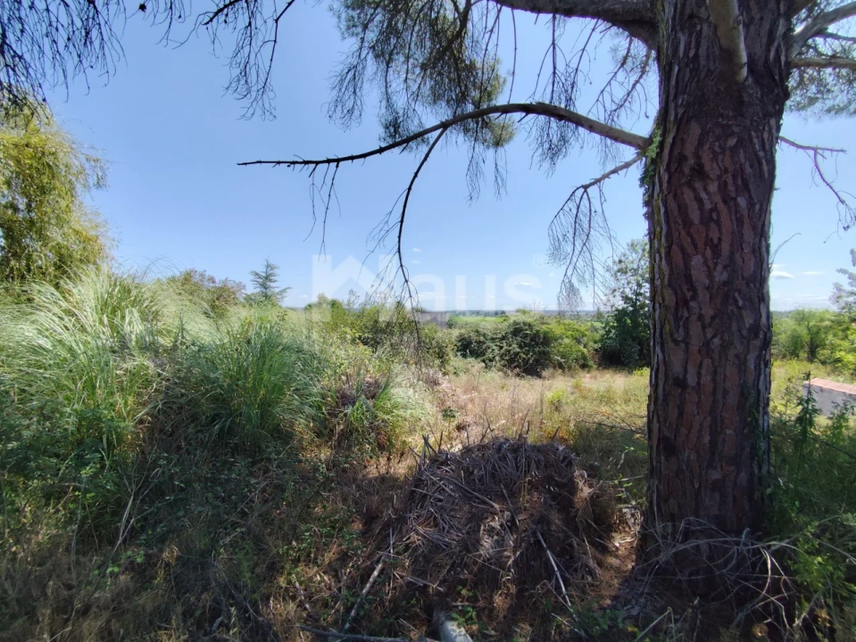 Negócio para Venda em Coruche, Fajarda e Erra Foto 2