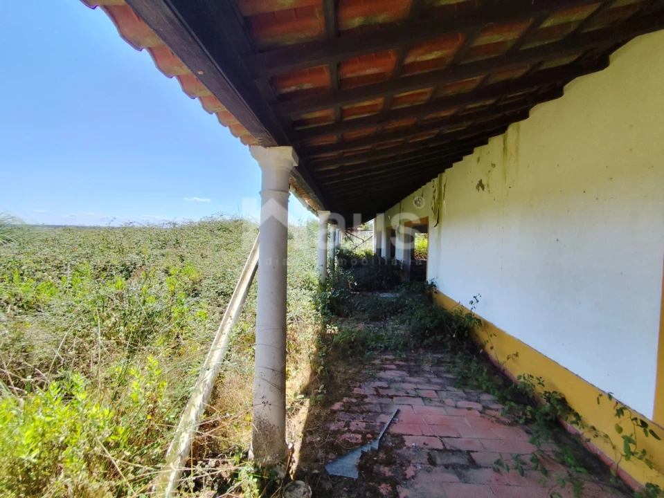 Negócio para Venda em Coruche, Fajarda e Erra Foto 7