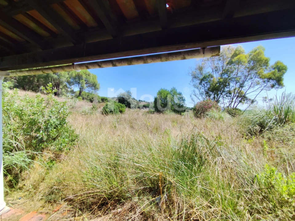 Negócio para Venda em Coruche, Fajarda e Erra Foto 9