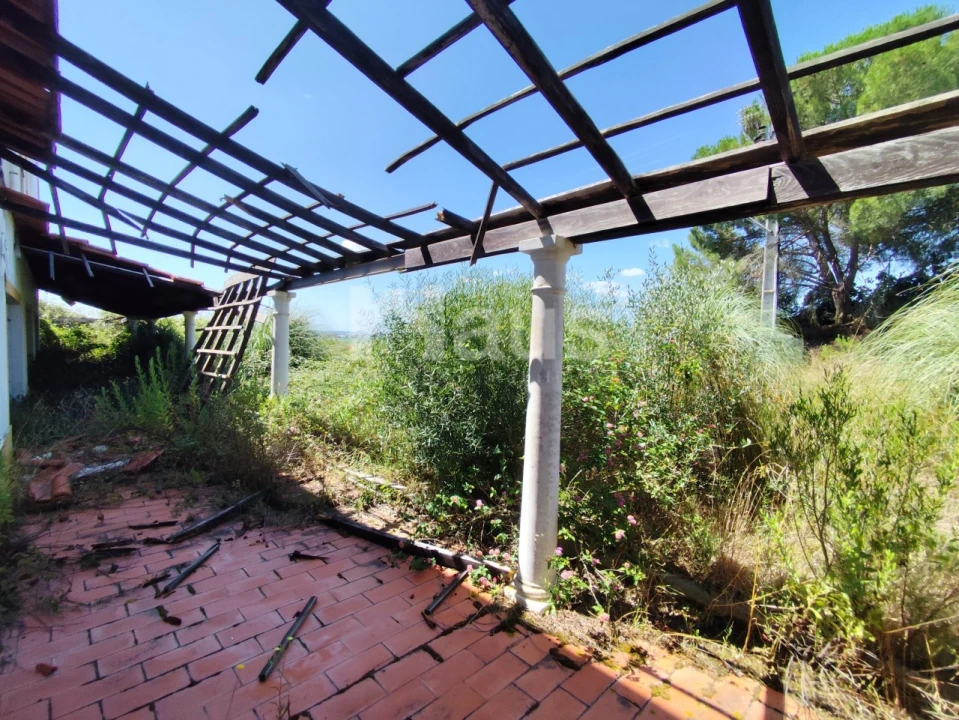 Negócio para Venda em Coruche, Fajarda e Erra Foto 10