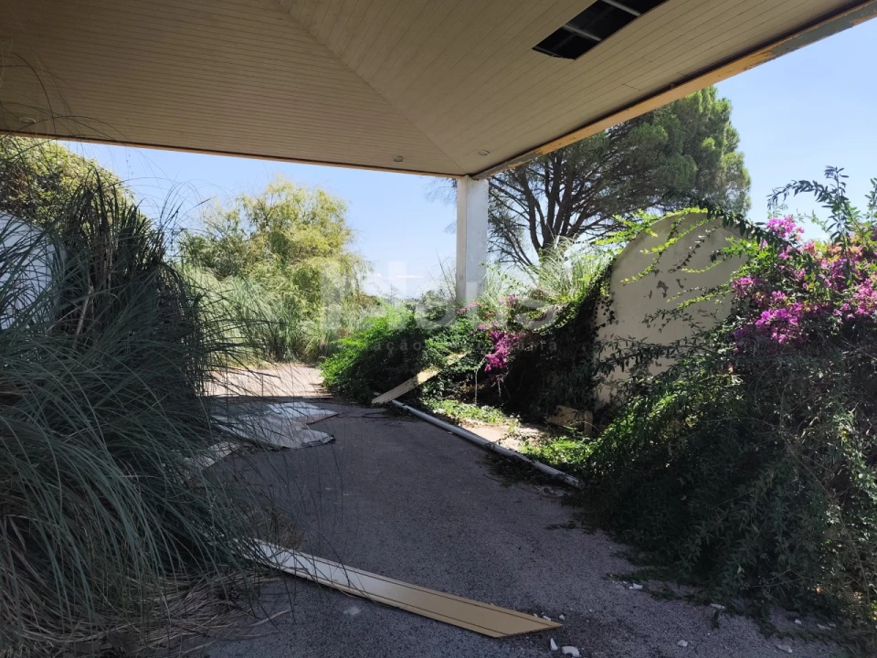 Negócio para Venda em Coruche, Fajarda e Erra Foto 20