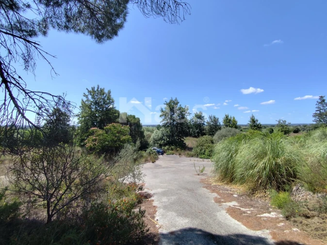 Negócio para Venda em Coruche, Fajarda e Erra Foto 3