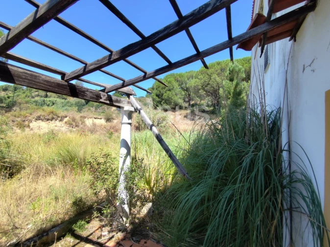 Negócio para Venda em Coruche, Fajarda e Erra Foto 8