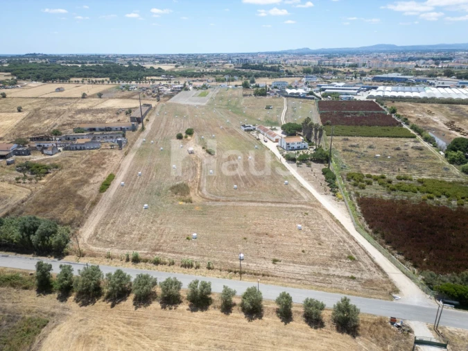 Terreno Agricola ou Rústico para Venda em São Francisco Foto 2