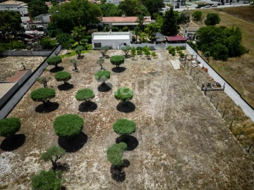 Quinta T2 para Venda em Palmela