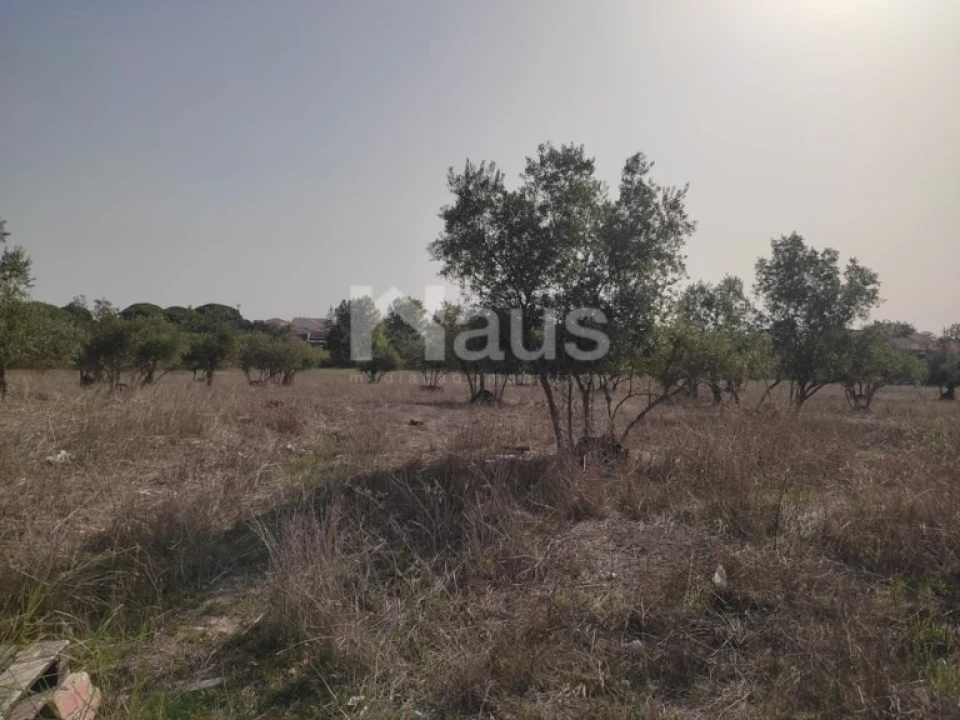 Terreno Agricola ou Rústico para Venda em Santo Antonio da Charneca Foto 7