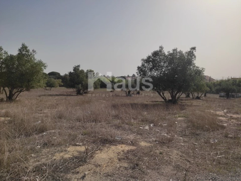 Terreno Agricola ou Rústico para Venda em Santo Antonio da Charneca Foto 9