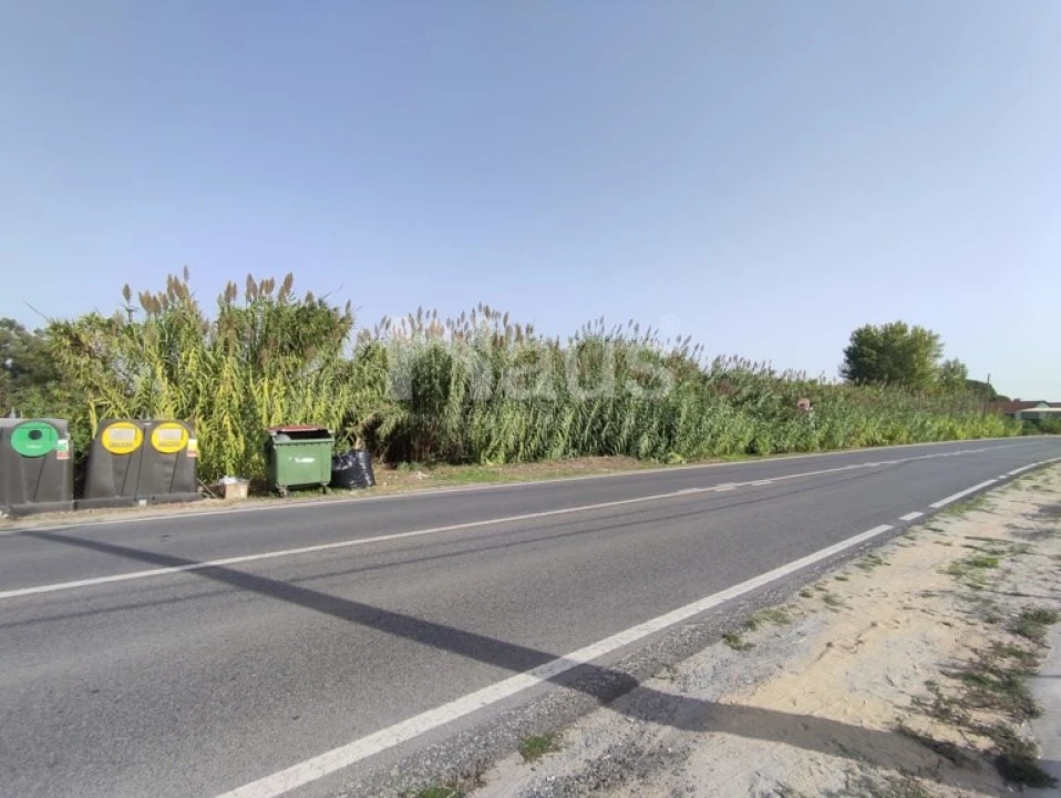 Terreno Agricola ou Rústico para Venda em Santo Antonio da Charneca Foto 3