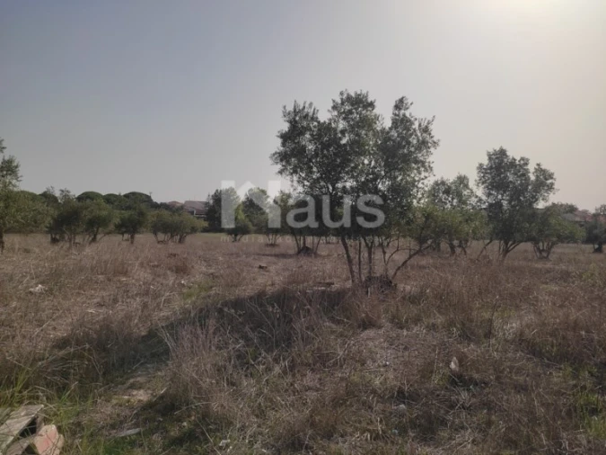 Terreno Agricola ou Rústico para Venda em Santo Antonio da Charneca Foto 7