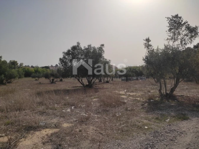 Terreno Agricola ou Rústico para Venda em Santo Antonio da Charneca Foto 8