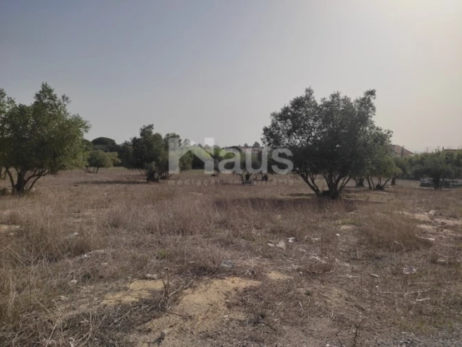 Terreno Agricola ou Rústico para Venda em Santo Antonio da Charneca Foto 9