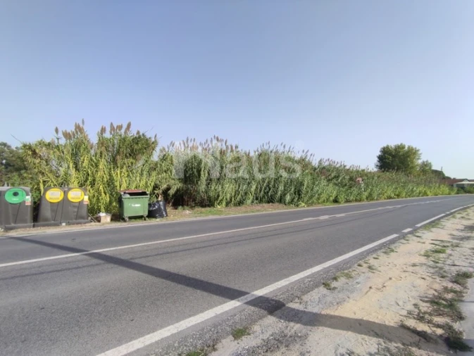 Terreno Agricola ou Rústico para Venda em Santo Antonio da Charneca Foto 3