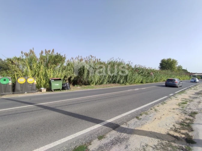 Terreno Agricola ou Rústico para Venda em Santo Antonio da Charneca Foto 10