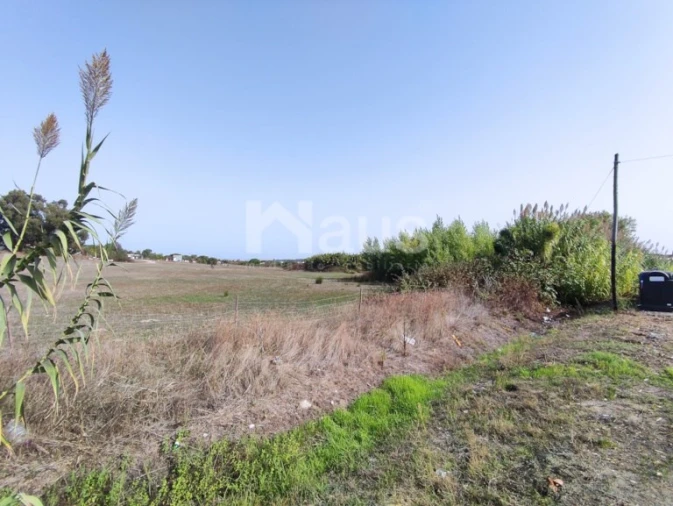 Terreno Agricola ou Rústico para Venda em Santo Antonio da Charneca Foto 12