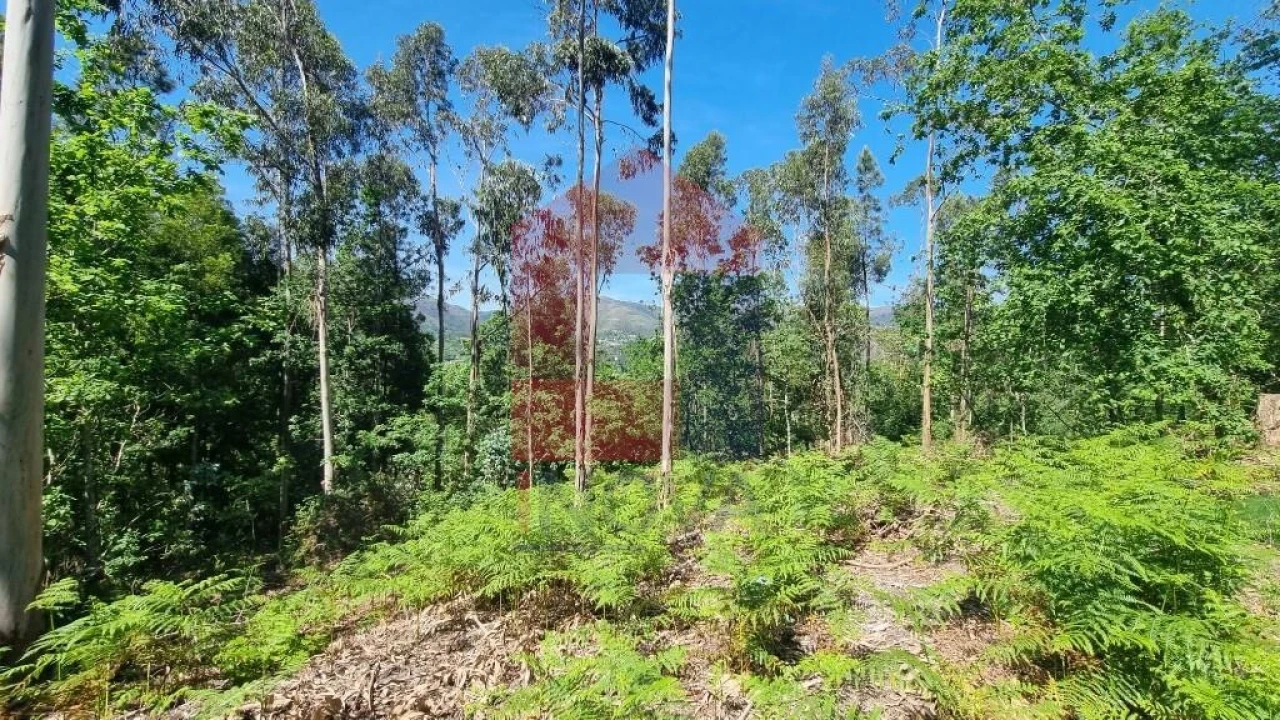 Terreno para Venda em Balança Foto 13