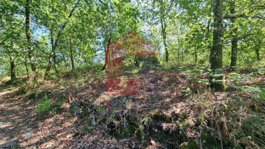 Terreno para Venda em Balança Foto 10